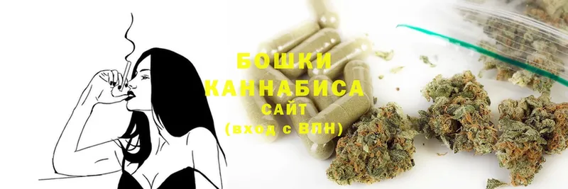 МАРИХУАНА SATIVA & INDICA  продажа наркотиков  Белая Холуница 